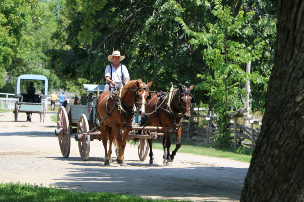 Upper Canada Village interpreter driving horse wagon