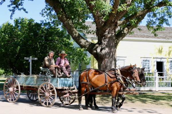 Horse carriage ride in the village